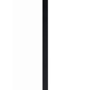 119767