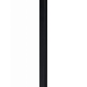 119770