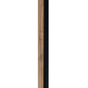 120021