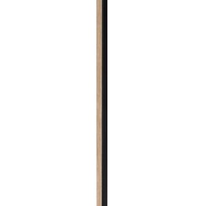 120029
