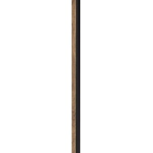 120043