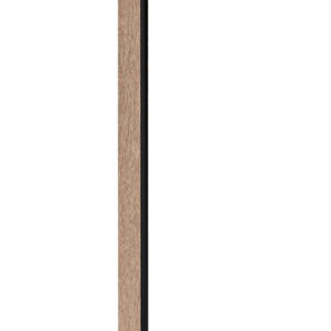 120047