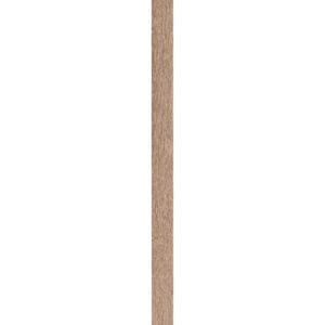 120051