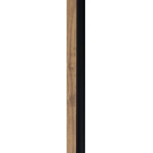 120061