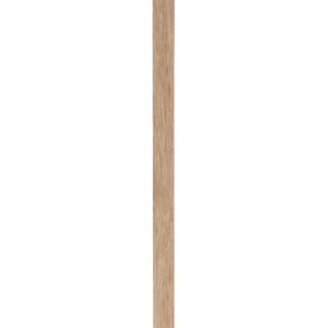 120064