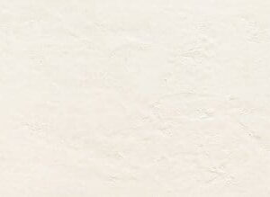 1424b3a89d30721559c5396ceb8009a7