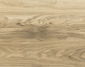 3b5c8cc4cb24cde97b64e5582188e0ed