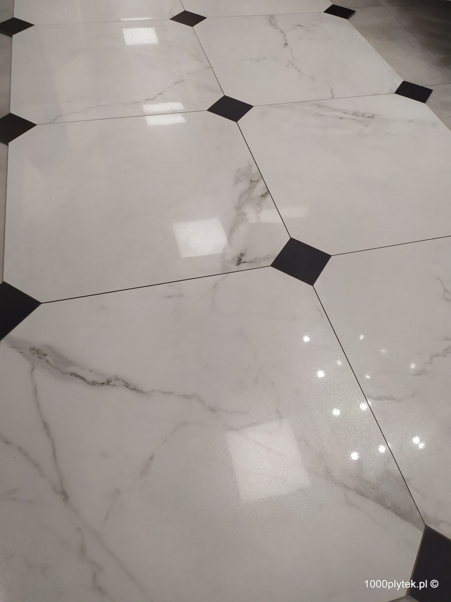 47979 47979