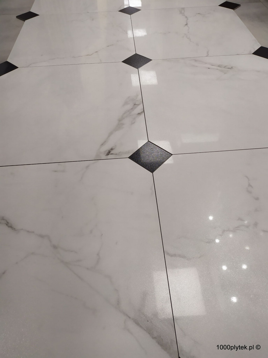 47981 47981
