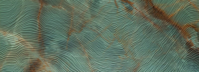 98417 98417