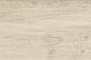 a8543c979e07ecf771a4e5472044ea65