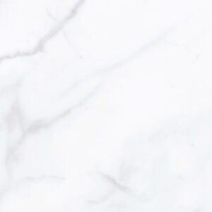 e11920cb610910e56a5881c771704466