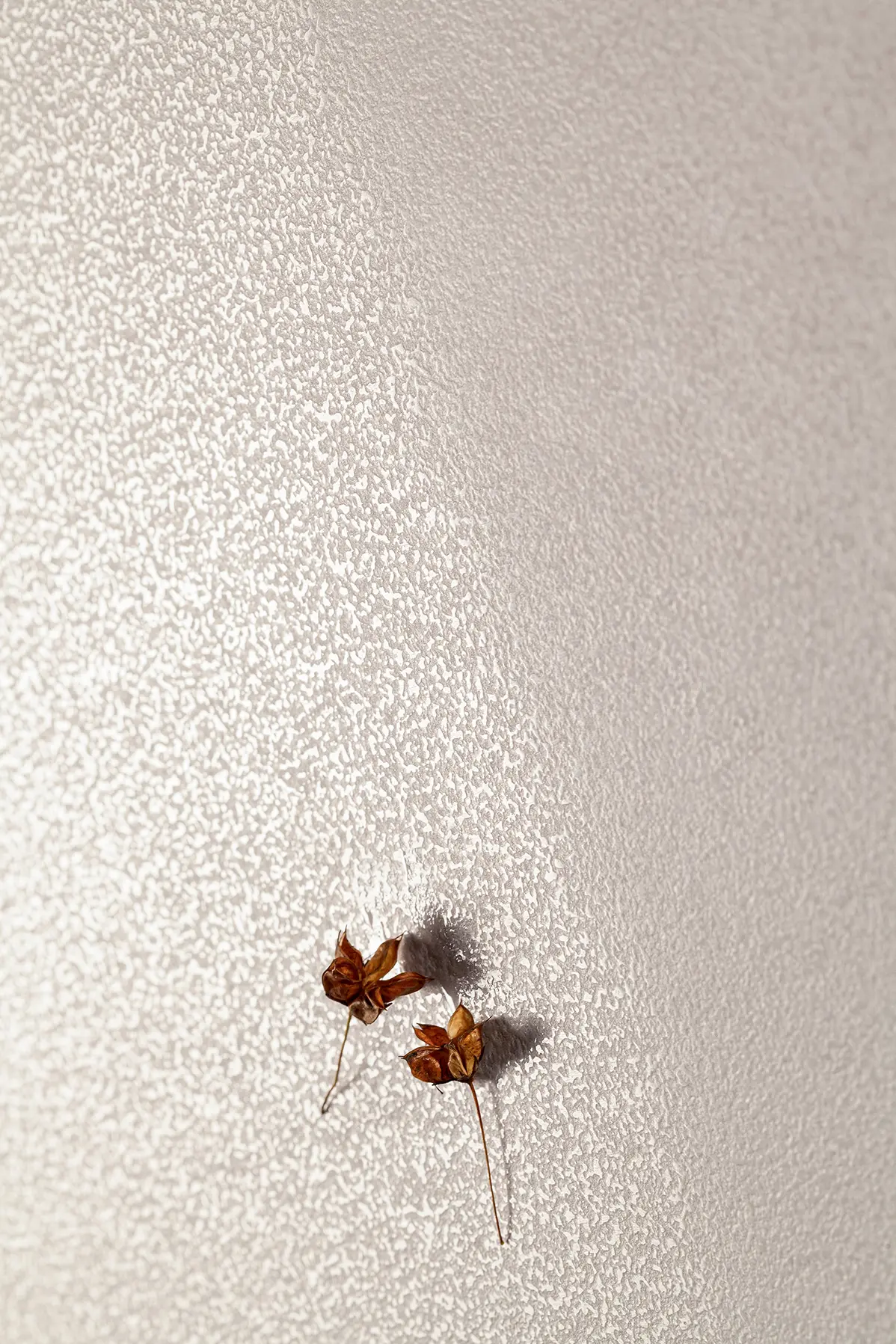 Płytki drewnopodobne gres 20×120 naturalny dąb – ciepła łazienka w stylu modern organic – Końskie