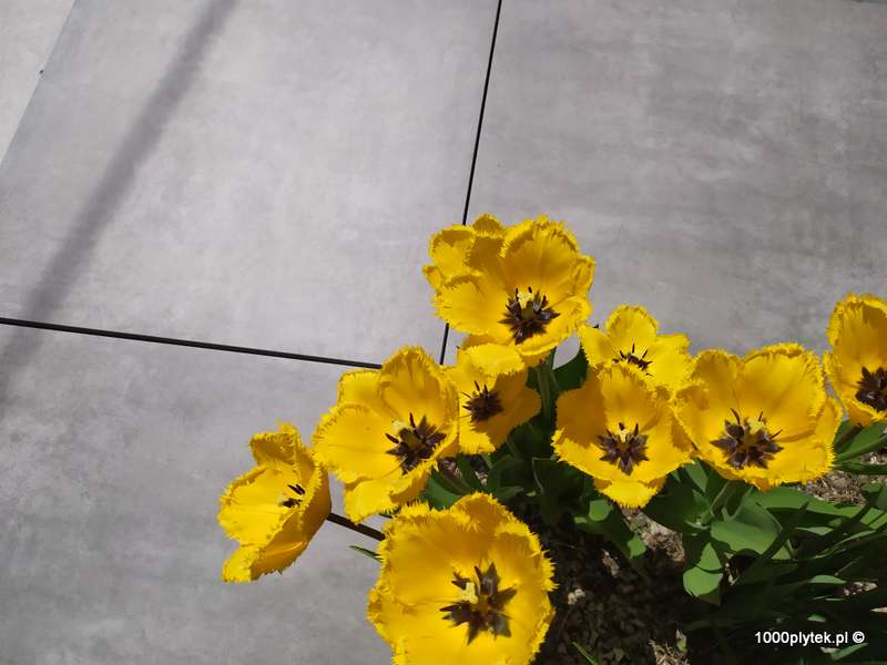 104094 104094